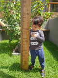 Growth Chart Ruler