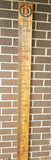 Growth Chart Ruler