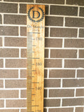 Growth Chart Ruler